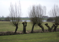 History Trips | The river Rhine, Oosterbeek